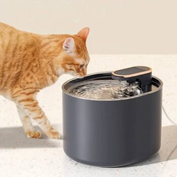 Ene per Uje - per Kafshe Shtepiake