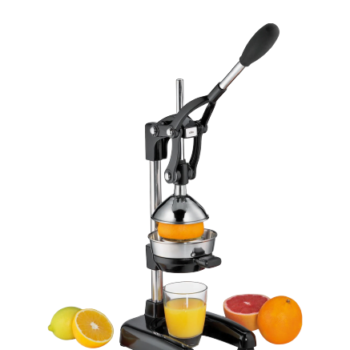 manual juicer